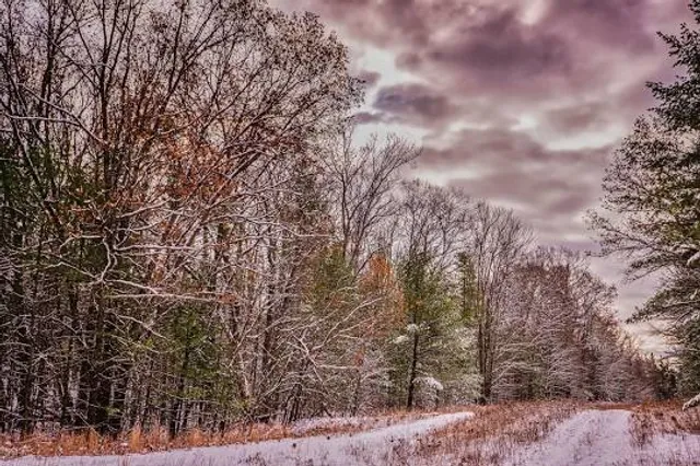Ogemaw Hills Pathway