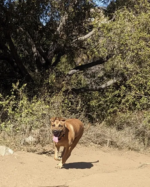 South Buena Vista Park