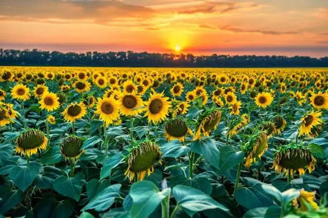 Ambattu Kadavu Bridge
