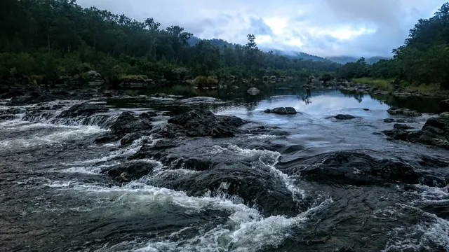 Nymboida National Park