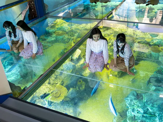 Echizen Matsushima Aquarium
