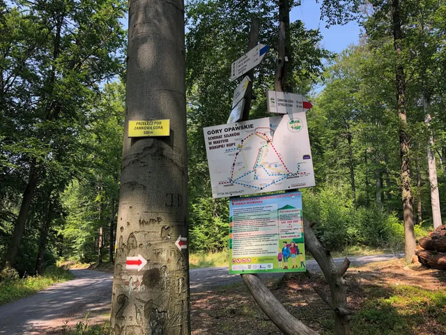 Przełęcz pod Zamkową Górą 508 m n.p.m.