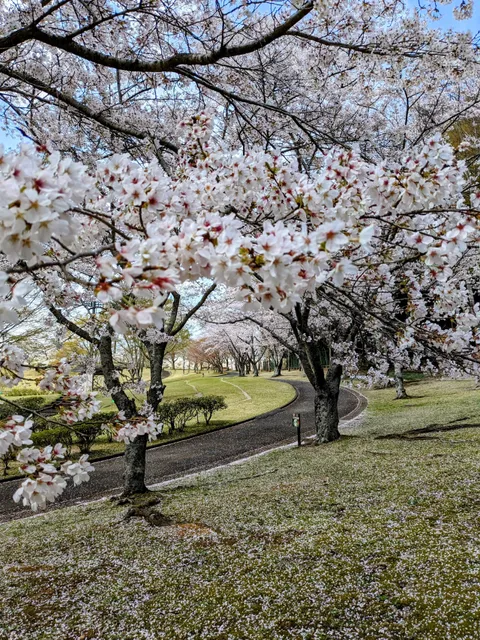 Ibarakicho Undo Park