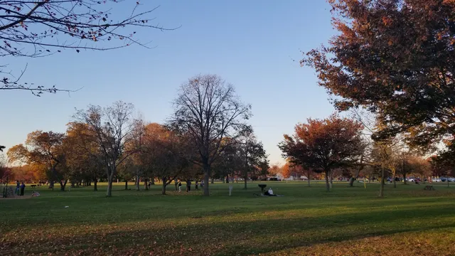 South Maples Picnic Area, Eisenhower Park
