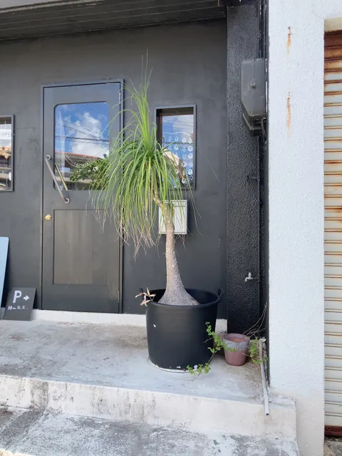 Botchi.andante.andante