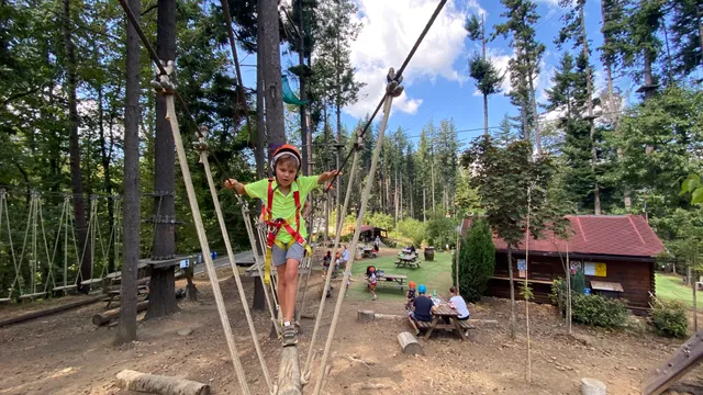 Adventure Park Suspended In Green