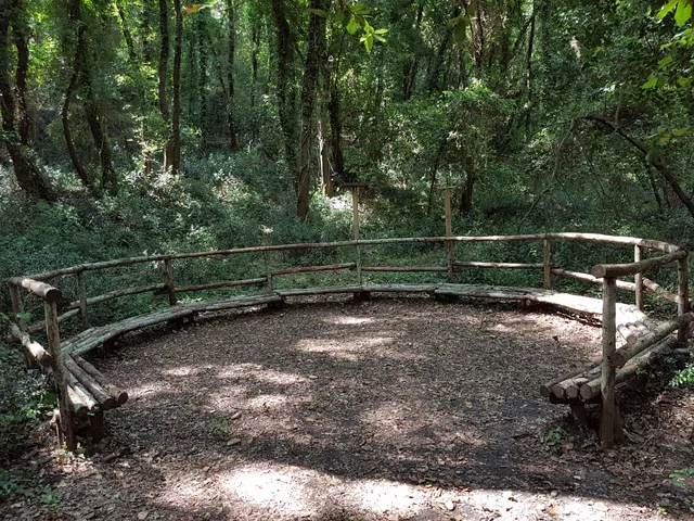 Lecceta Regional Natural Reserve of Torino di Sangro