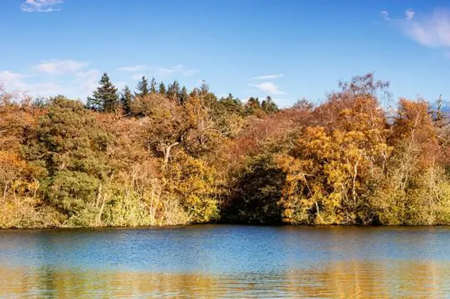 Swanholme Lakes