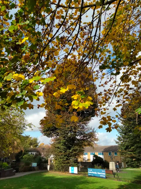 photo-2