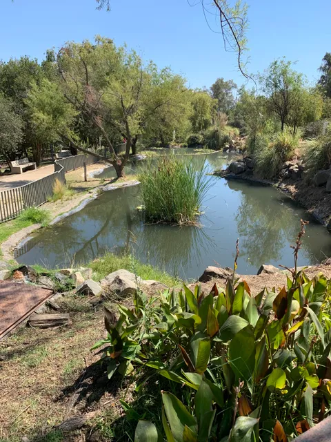 Parquemet - Santiago Forest