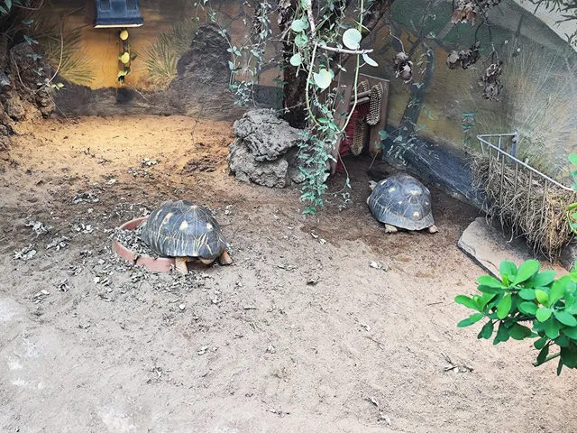 Exotarium Zoo Frankfurt