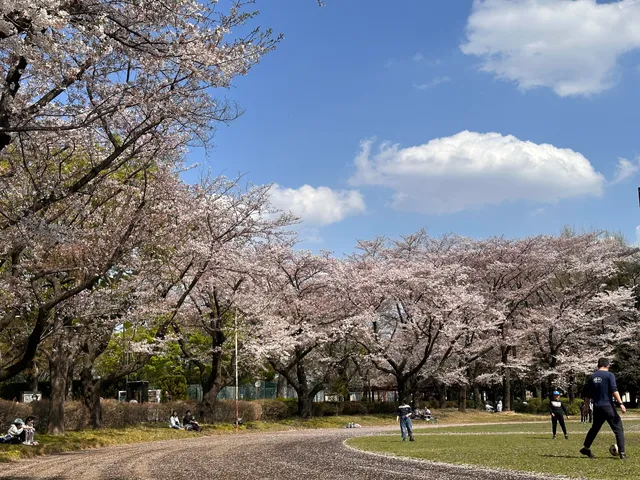 Kodaira City Central Park