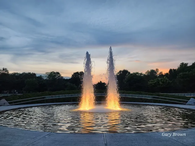 Garden of Reflection