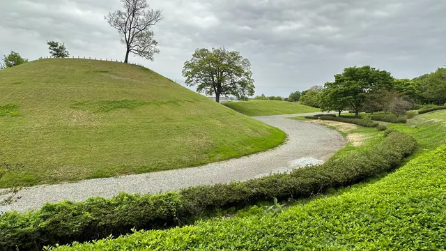 Yamanashiken Sonekyuryo Park