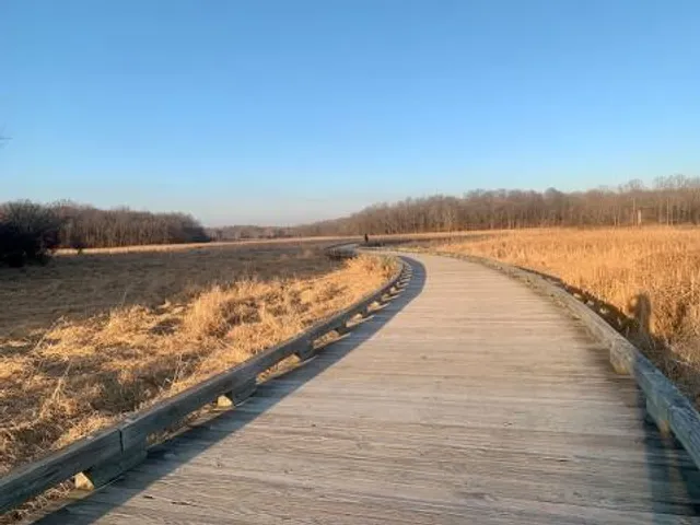 Cuba Marsh Forest Preserve