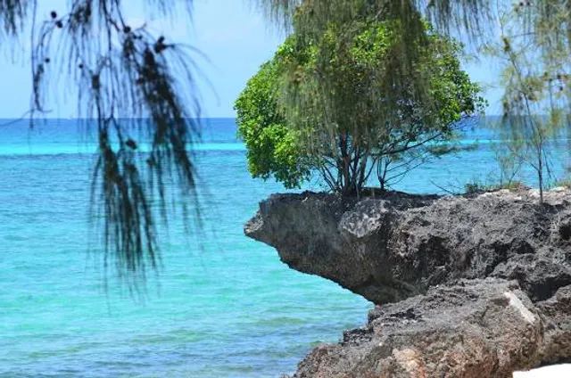 Prison island Zanzibar