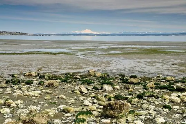 Fort Townsend Historical State Park