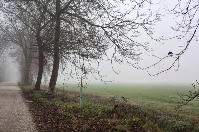 Parkanlage Löwygrube