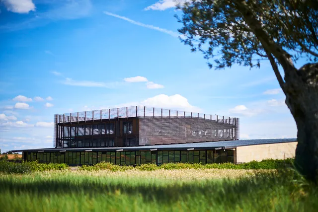 Bodega Bela - Ribera del Duero