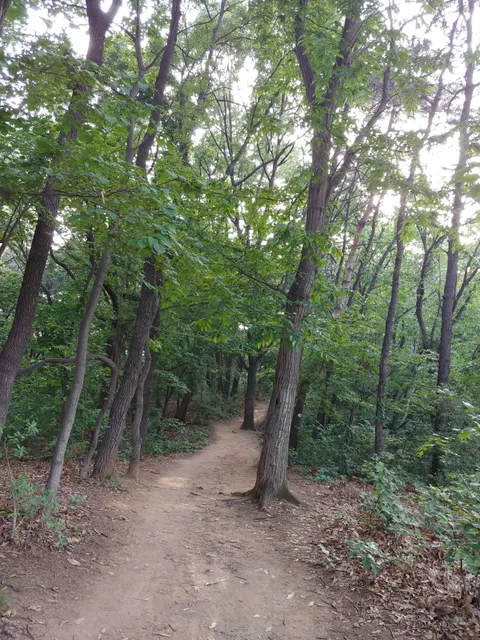 photo-2