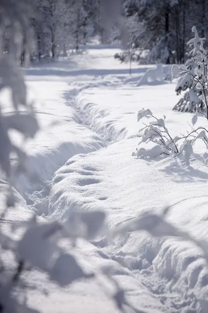 Cuchara Mountain Park