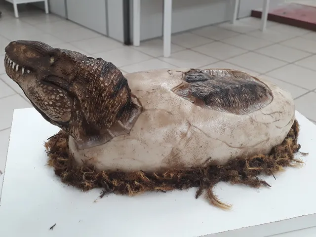 Museu de História Natural do Araguaia - MuHNA