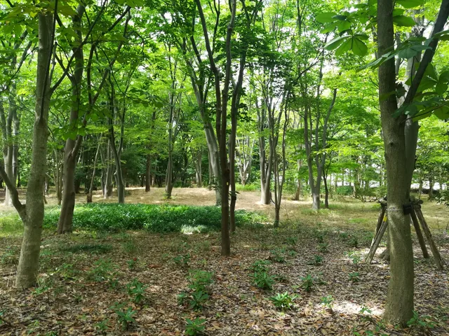 Prefectural Office Forest