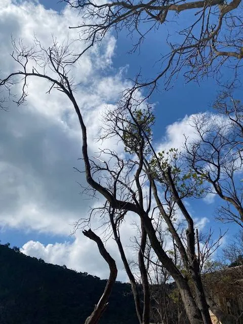 Gunung Stong State Park