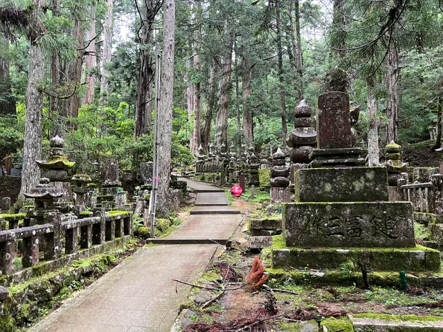 Koyasan Forest Park