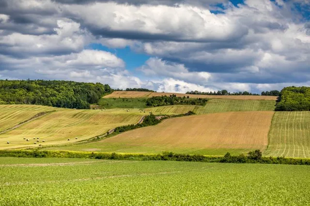Marcigliana Nature Reserve