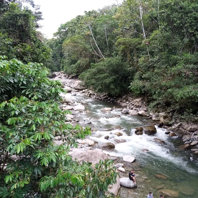 Natural Reserve Paway