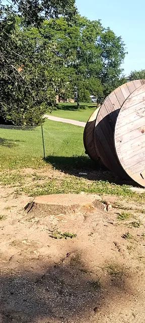 Habitat for Humanity Restore