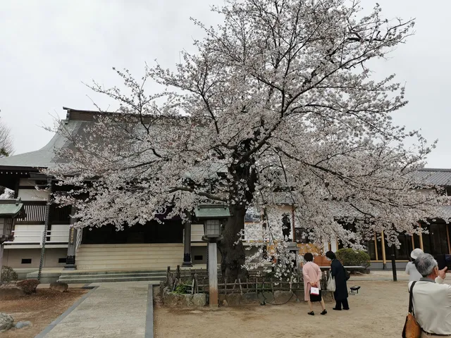 真言宗豊山派 荒井山 清瀧院