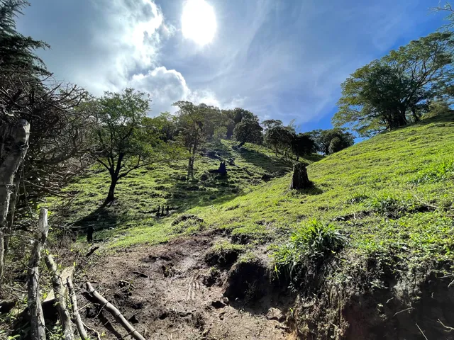 Sendero Cerro Artillería