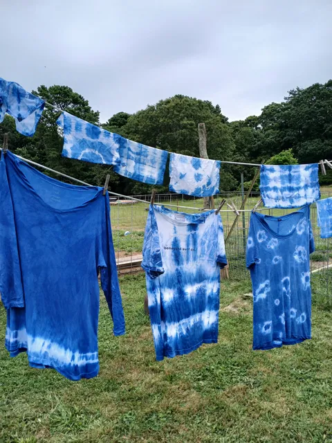 Native Earth Teaching Farm