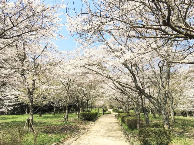 Dazaifu Citizen's Forest