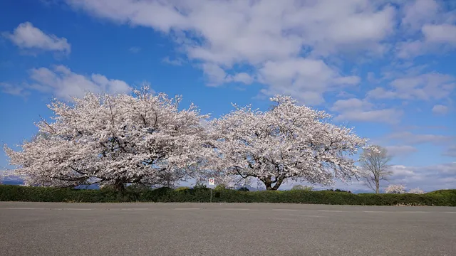 Ayunosato Central Park