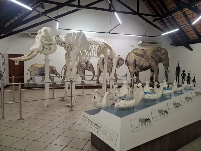 Elephant Hall @ Letaba Rest Camp