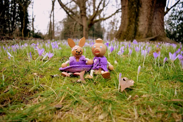 Stichting Edukatieve Natuurtuin Goffert