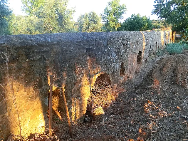 photo-3