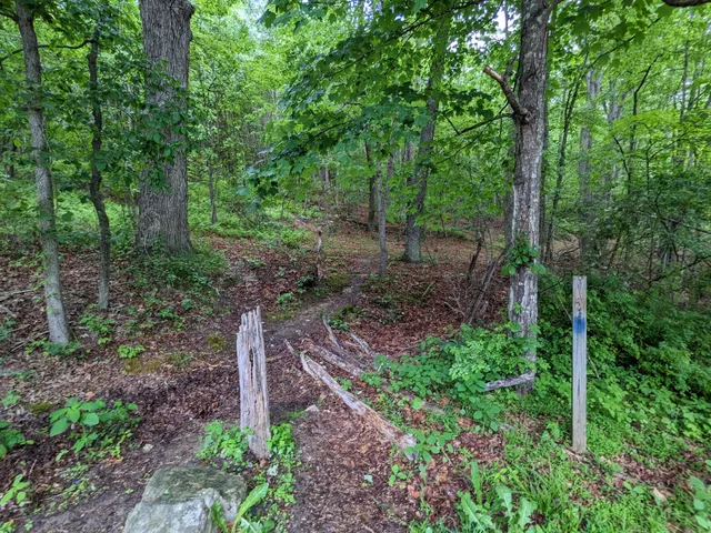 McDowell Battlefield