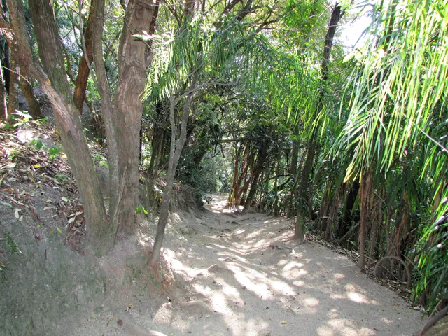 Ecological Park of Matao