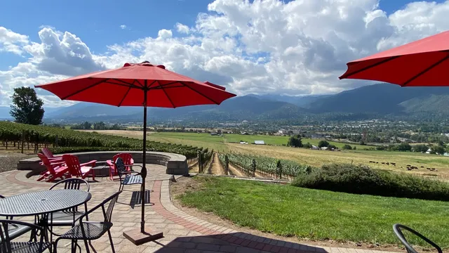 Dana Campbell Vineyards