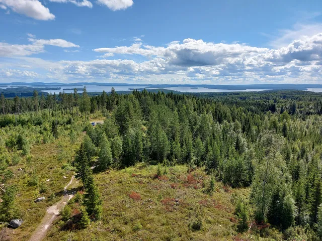 Paalasmaa Observation Tower