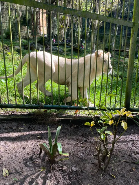 Parque Zoológico Chorros de Milla