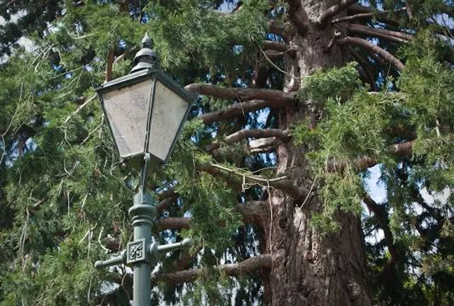 place image
