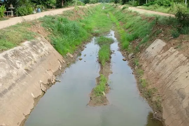 Marie Wallace Bayswater Park