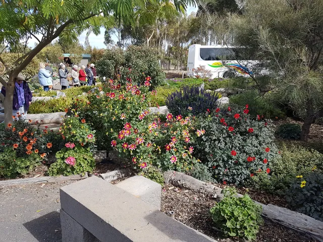 photo-1