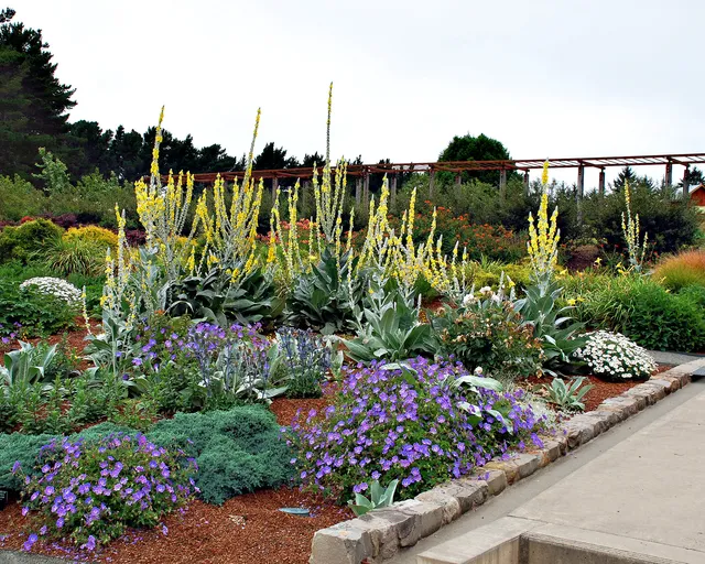 Humboldt Botanical Garden