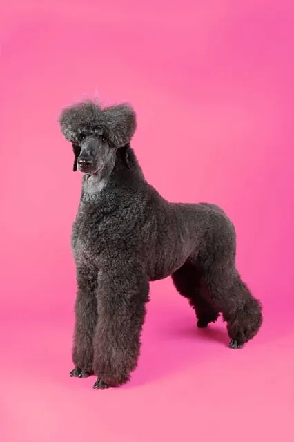 Funtastic Aquarium İzmir